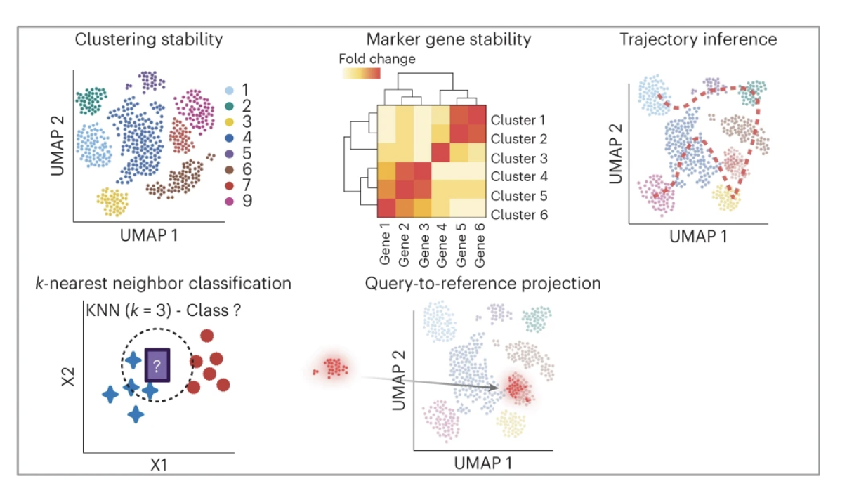 Characterizing the impacts of dataset imbalance on single-cell data integration