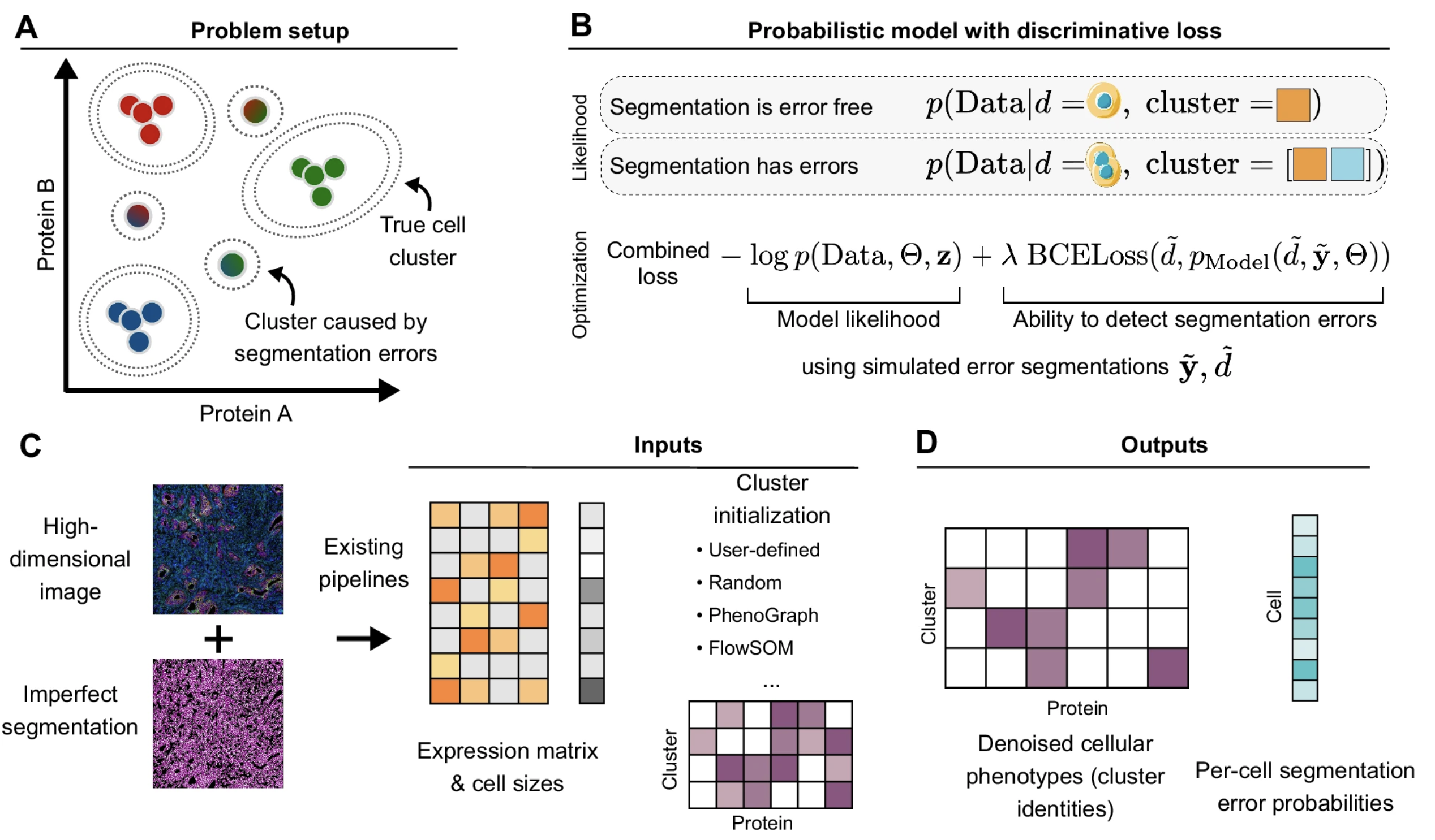 Segmentation aware probabilistic phenotyping of single-cell spatial protein expression data