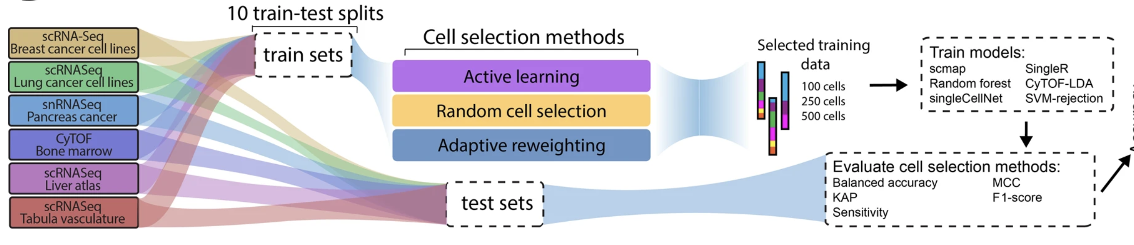 The impacts of active and self-supervised learning on efficient annotation of single-cell expression data
